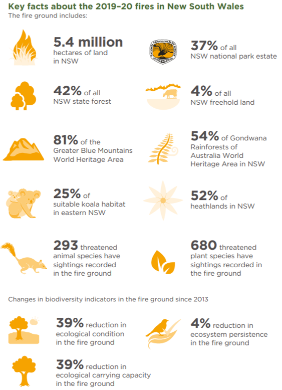 Our Estuaries Change After Bushfires | Data.NSW